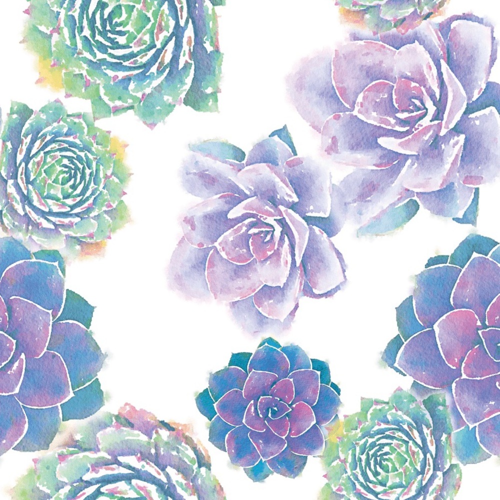 Meet your Posher, Maddie